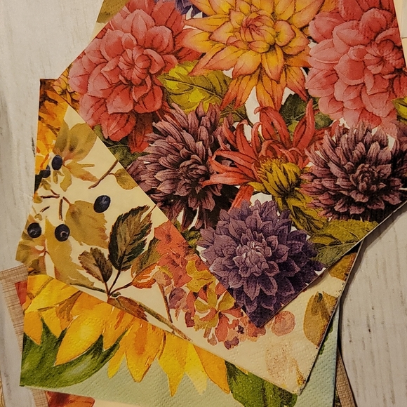 NWOT Fall/Autumn/Harvest Themed Napkins - Picture 4 of 9